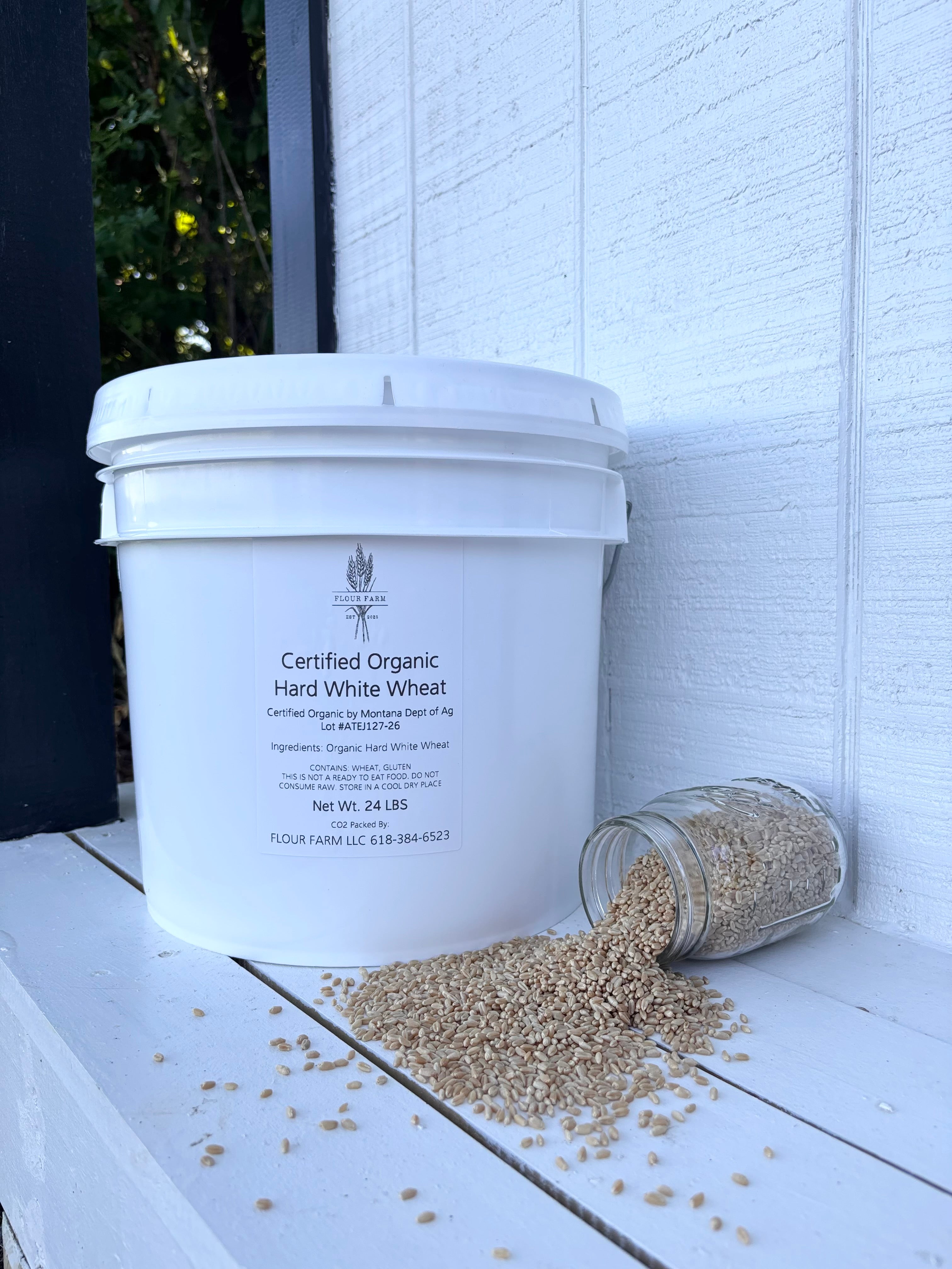 Certified Organic Hard White Wheat