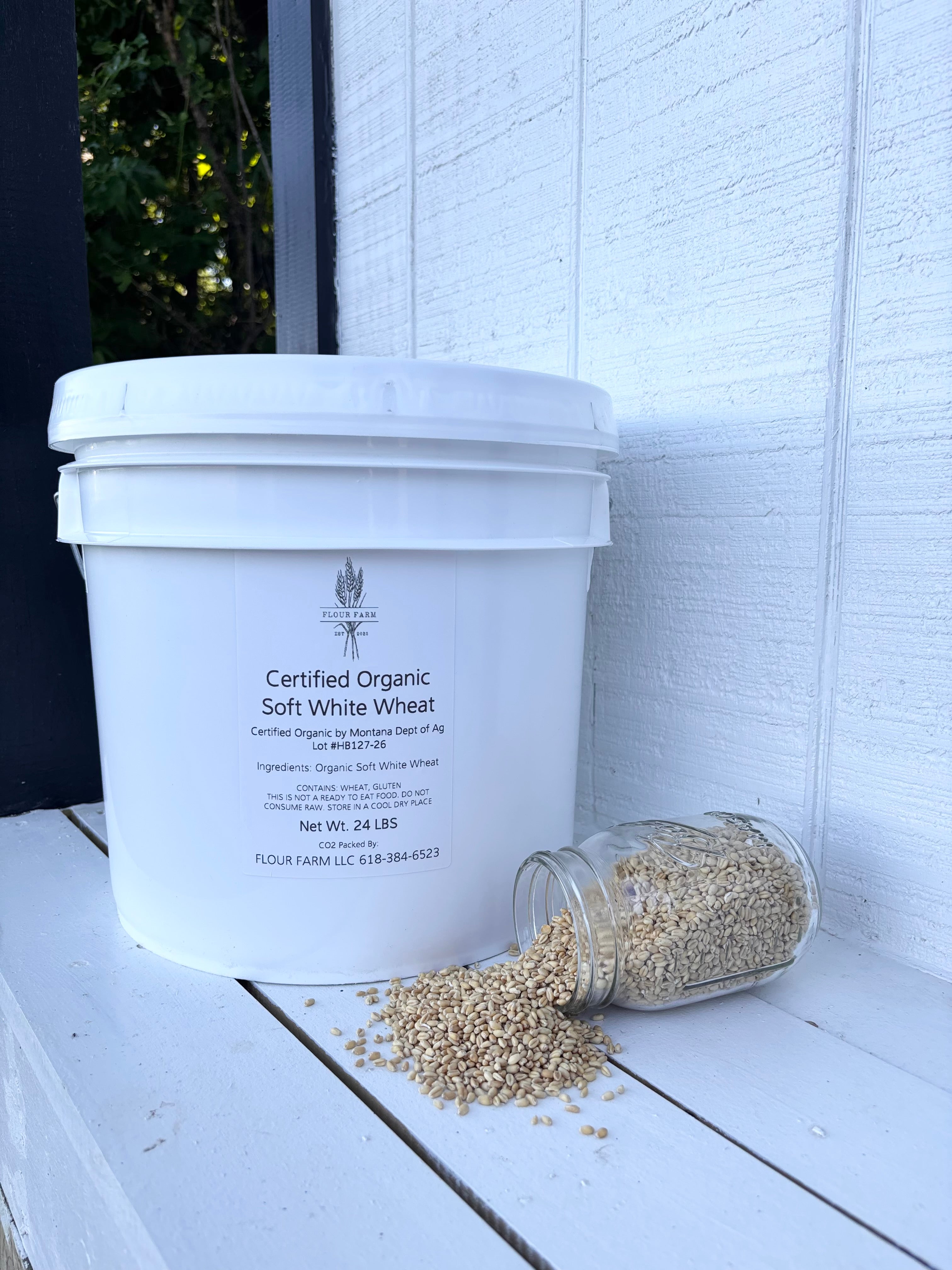 Certified Organic Soft White Wheat